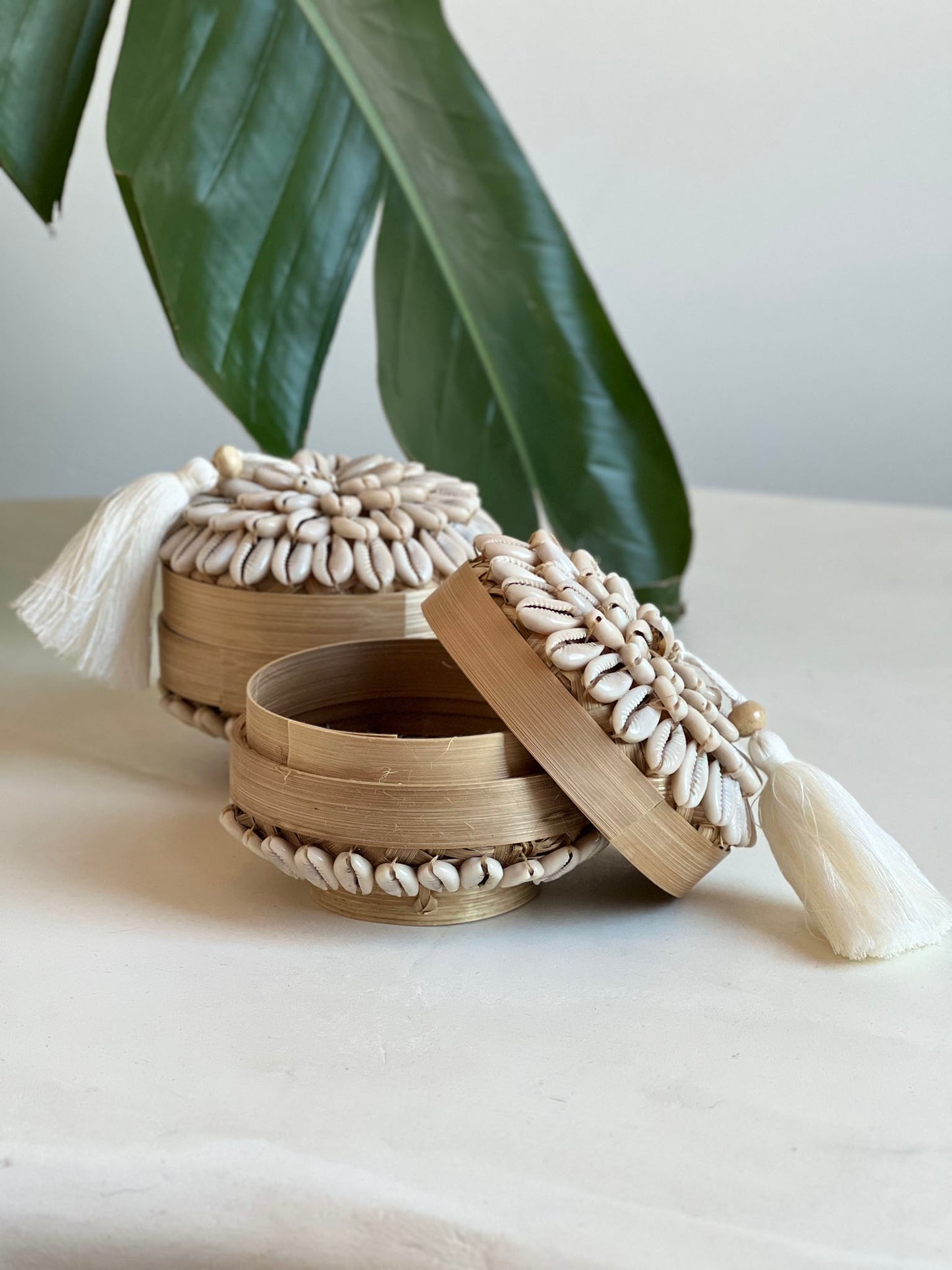 Bamboe doosje met Kauri schelpen en kwastje - Rond