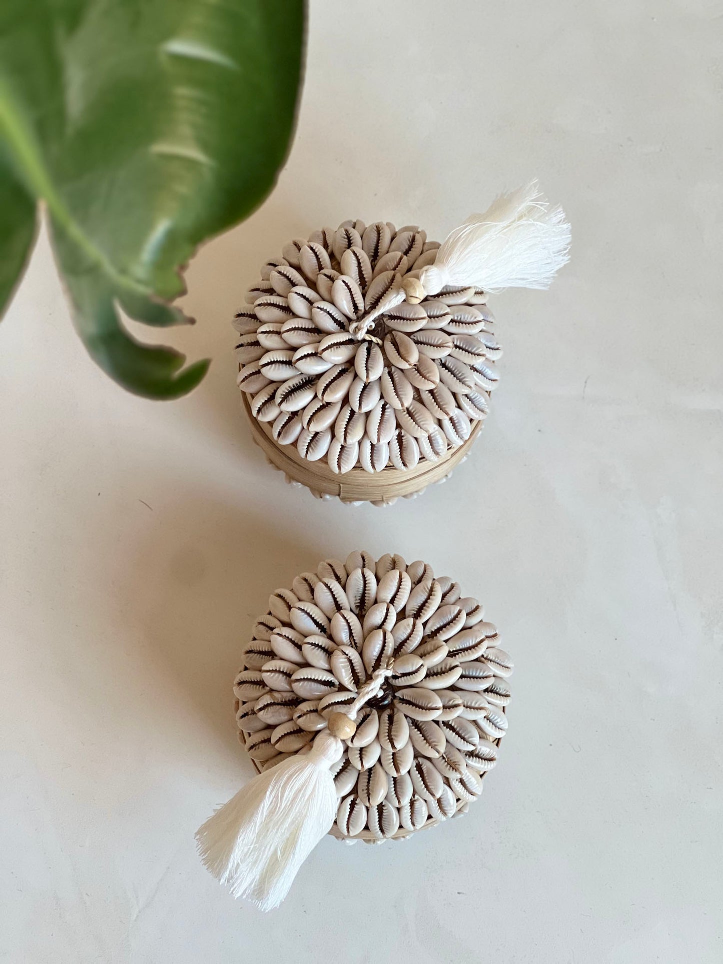 Bamboe doosje met Kauri schelpen en kwastje - Rond